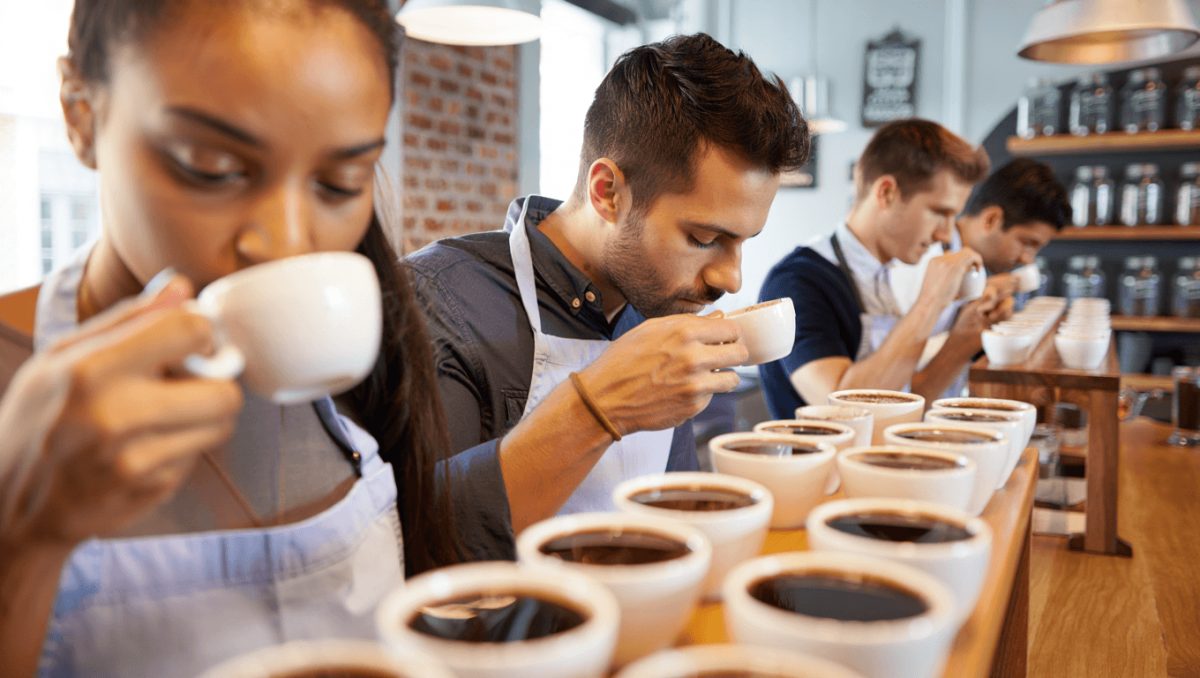 « Quand on déguste beaucoup de café, on crache, comme pour le vin »... On a testé un atelier de cupping